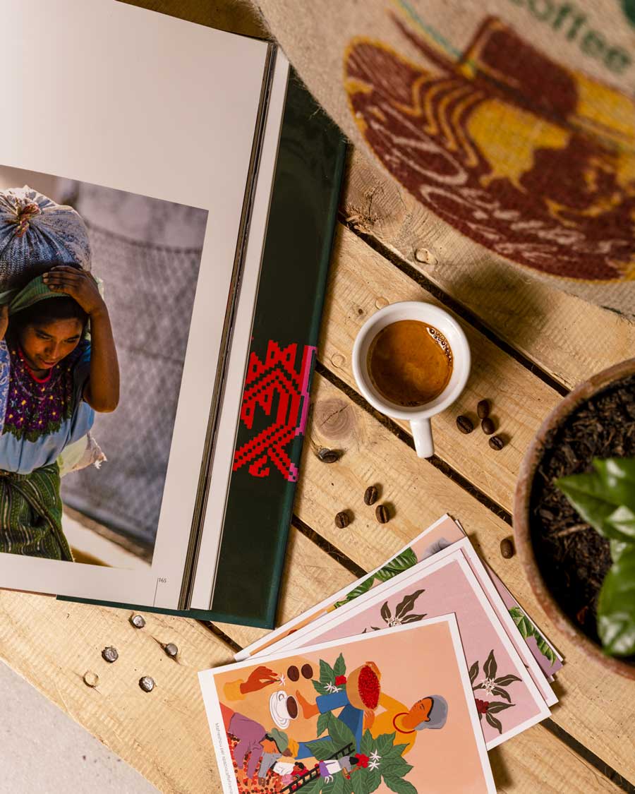 Women Coffee Project BRAZIL (Natural) – Donas do Café – Medium